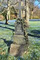 Fruehling2012   040